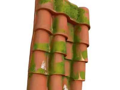 Mossy Terracotta Roof Tiles Low-poly 3D model