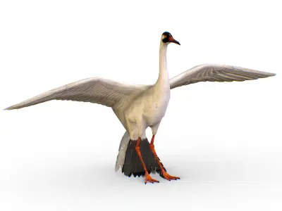 LowPoly Crane Bird Low-poly 3D model