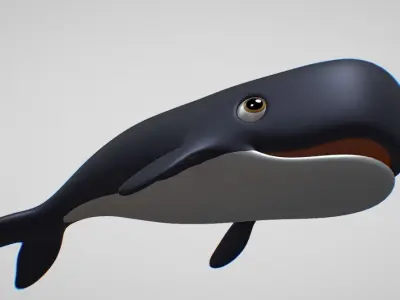 whale cartoon 3D model