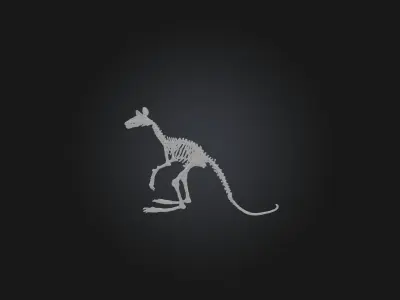 Realistic Kangaroo Skeleton Model Low-poly 3D model