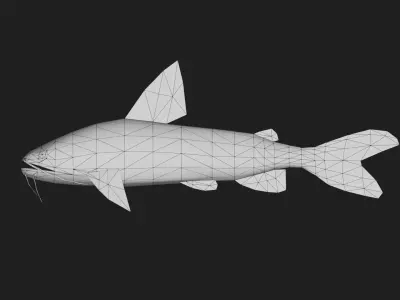 Catfish Low-poly 3D model get