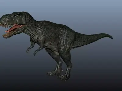 Tyrannosaurus Rex 3D model 7