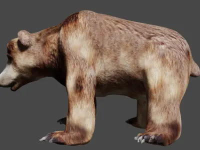 Bear With Textures 3D model
