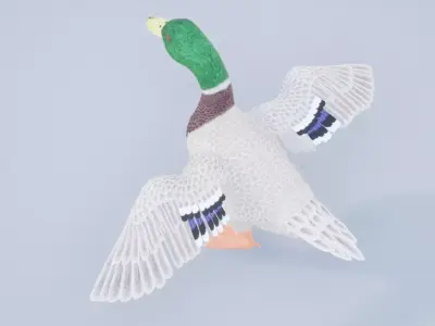 Duck Basic Low-poly 3D model