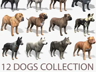  12 Dogs Collection (2) 
