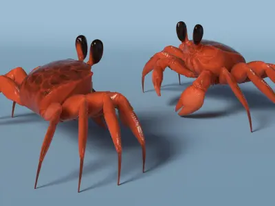  Coastal Burrowing Crab Red 