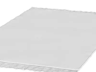 Prayer Carpet  3D model