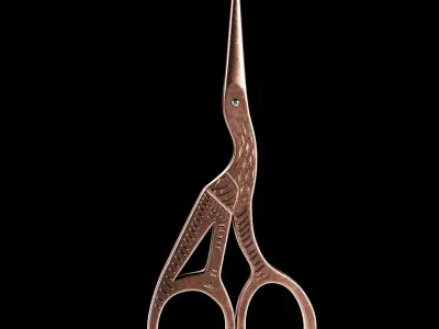 Vintage Scissors  Set of 5 3D model