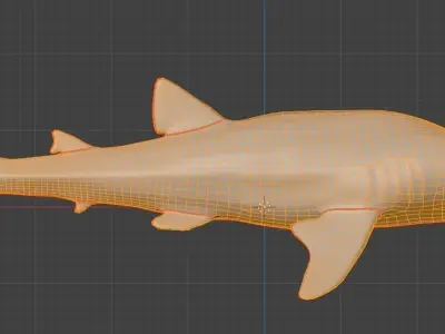 Whale Shark 3D model buy
