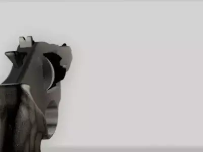 Revolver 3D model 2