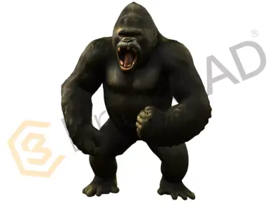 King Kong Giant Gorilla 3D Model High Detail 3D model