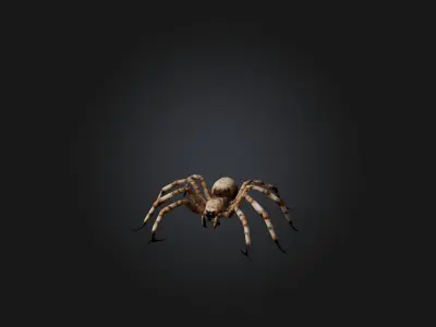 Giant Spider Low-poly 3D model purchase