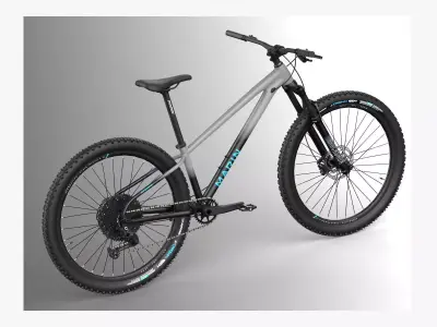 MTB hardtail in grey black Low-poly 3D model