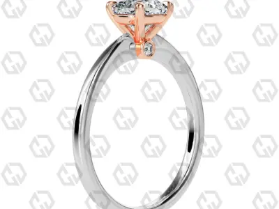 Ring 152 Cushion shape with hidden signature diamond both side 3D print model