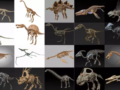 20 in1 Dino skeleton Collection model 3D model