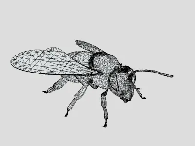 Free High quality rigged bee Free low-poly 3D model