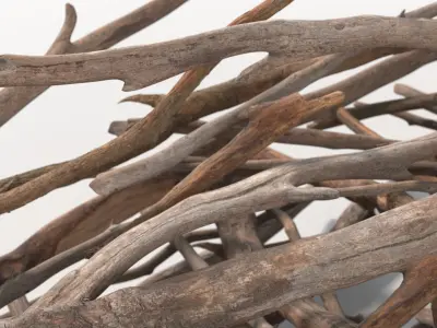  Dry Brushwood Pile Brown 