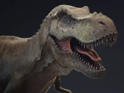 T-rex Free 3D model purchase