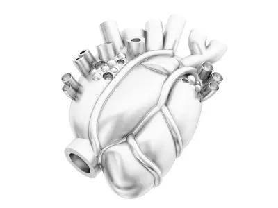 Heart human gold 3D print model