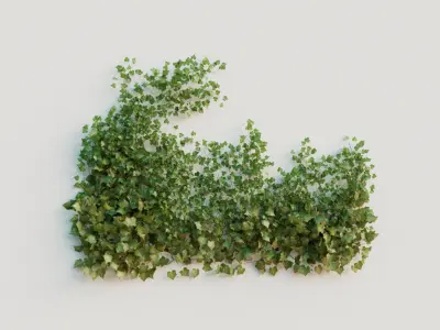 Ivy Collection 3D model