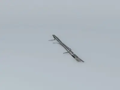 Brisbane Riverside Expressway Free 3D model