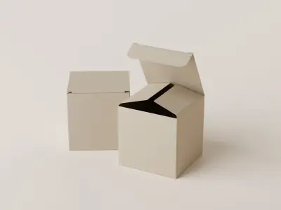 Packaging Box Low-poly 3D model