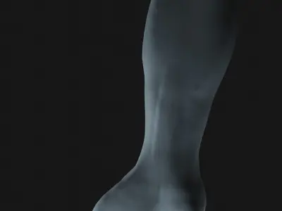 a man hand 3D model purchase