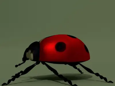 LowPoly Ladybug Low-poly 3D model