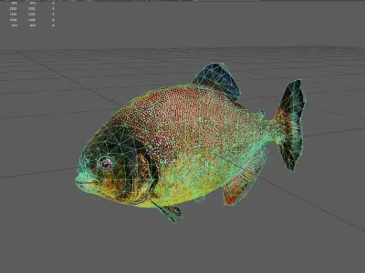 Redpiranha Low-poly 3D model