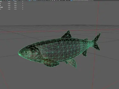 Salmon Low-poly 3D model purchase