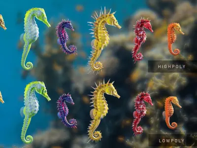 Lowpoly Seahorse Pack Low-poly 3D model