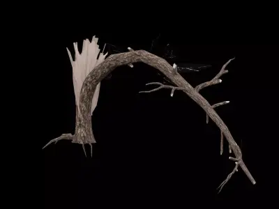 Realistic Snag Tree Low-poly 3D model