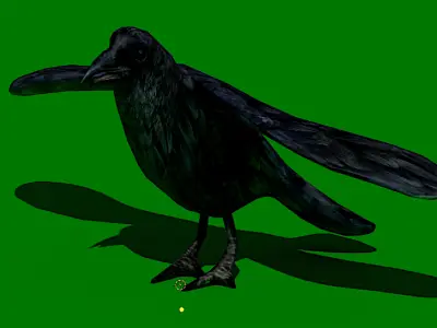 Low poly crow Low-poly 3D model