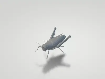 Grasshopper Free low-poly 3D model
