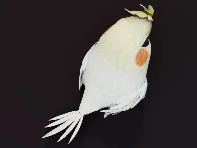 Cartoon Parrot Bird 3D Model Low-poly 3D model