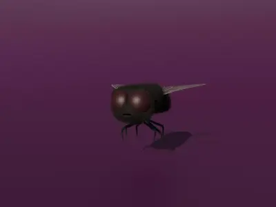 A rigged fly Low-poly 3D model