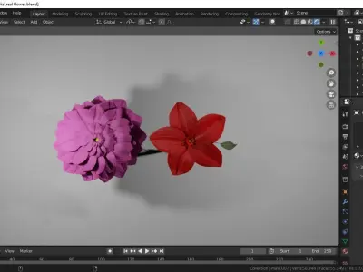 Flowers two in program 3D model