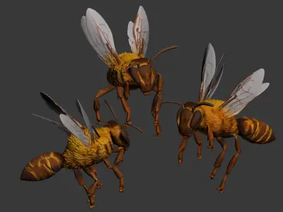 insect 3D model shop