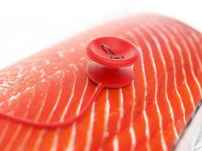 Salmon fillet 3D model buy