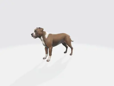 American Staffordshire  Portrait Terrier Pet Animals 3d model 3D model