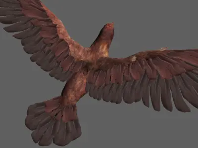 Detailed Bird Low-poly 3D model