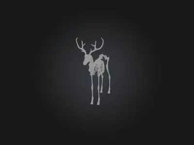 Realistic Antelope Skeleton Model Low-poly 3D model