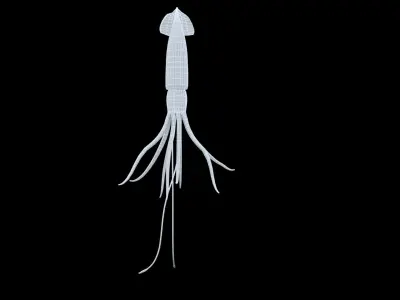 animated squid 3D model