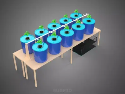 DBS DUTCH BUCKET SYSTEM BATO HYDROPONIC PLANT CULTIVATION GARDEN 3D model