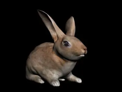 Rabbit 3D model purchase