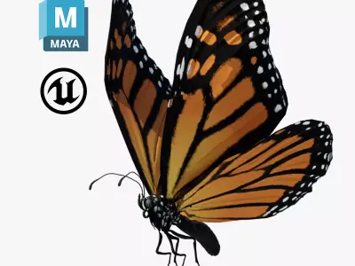 Butterfly Monarch 3D model get