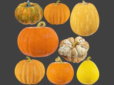 Pumpkins Collection V8 3D model