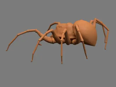 Spider Low-poly 3D model 8