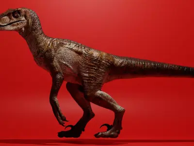 JP-VELOCIRAPTOR-RIGGED 3D model