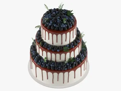  Wedding Berry Cake 02 